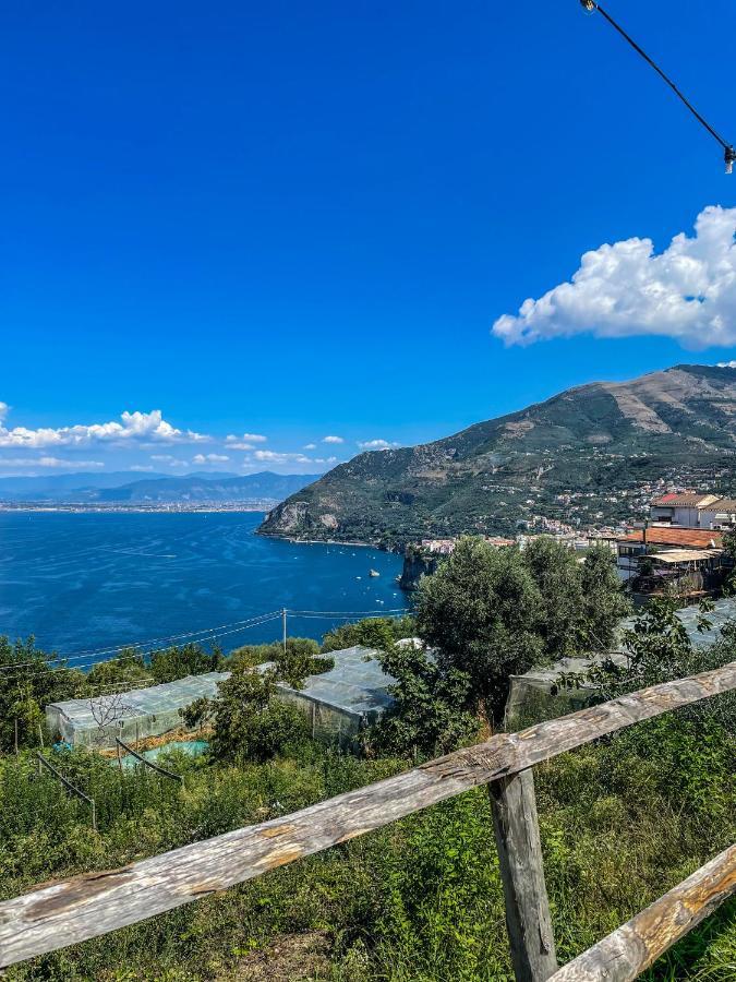 Antica Tenuta Celotto Vico Equense Bagian luar foto
