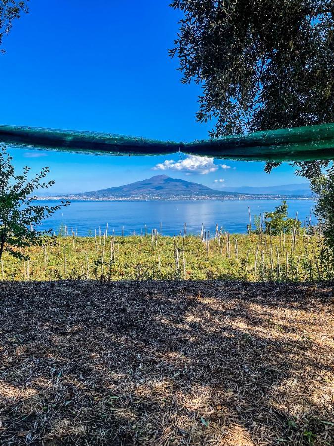 Antica Tenuta Celotto Vico Equense Bagian luar foto