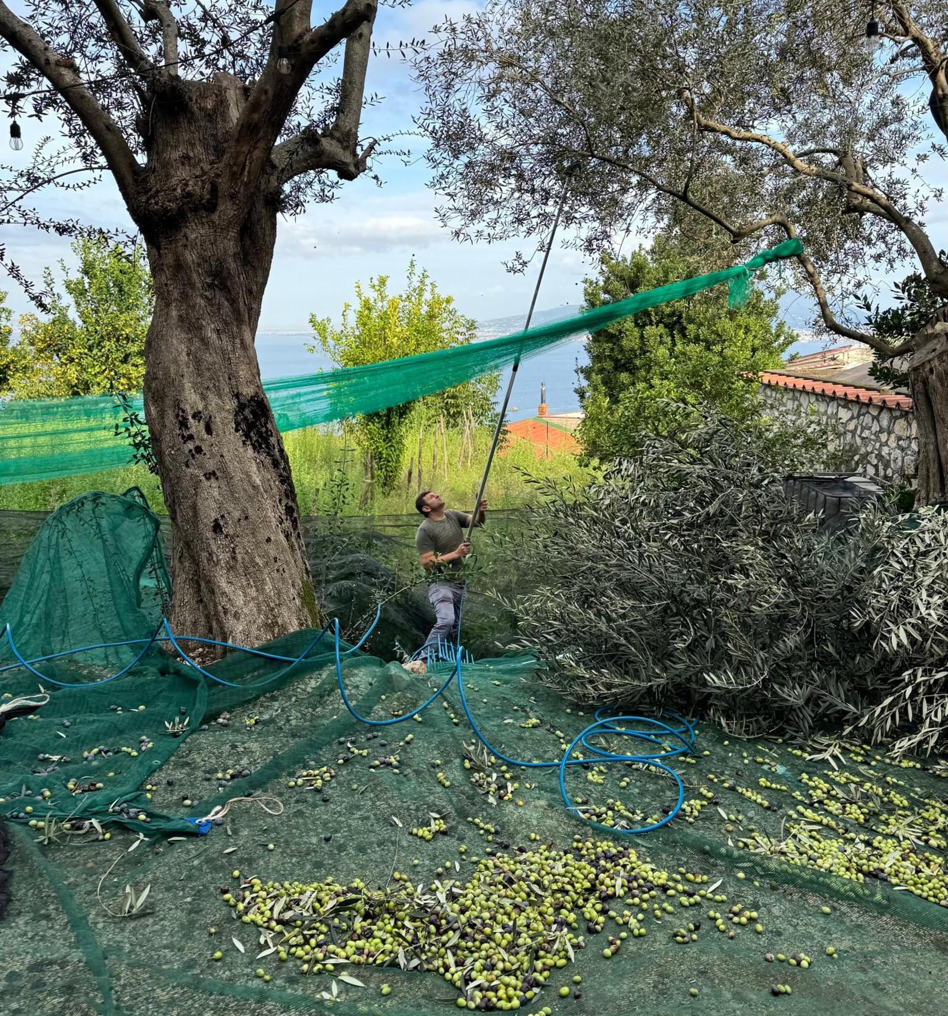 Antica Tenuta Celotto Vico Equense Bagian luar foto
